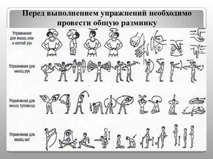 Перед выполнением упражнений необходимо провести общую разминку