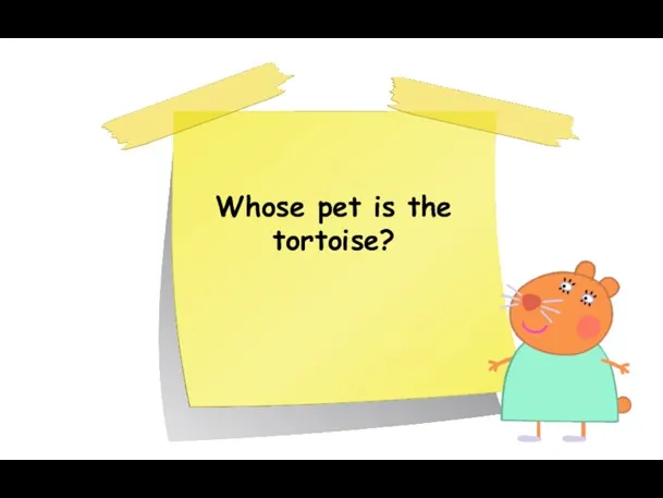 Whose pet is the tortoise?