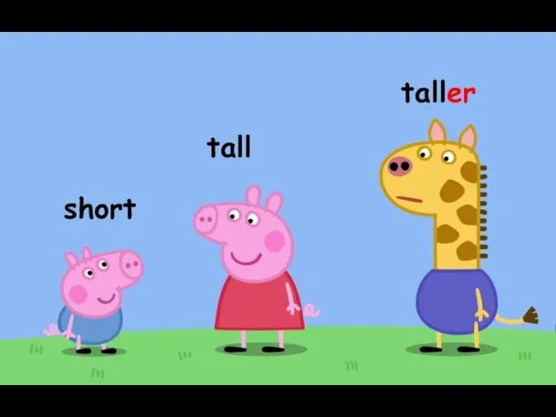 tall taller short