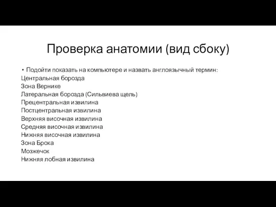 Проверка анатомии (вид сбоку) Подойти показать на компьютере и назвать англоязычный термин: