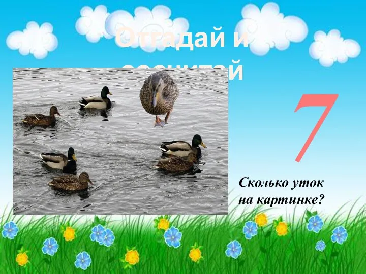 Эта птичка у пруда Громко крякает всегда. Отгадай и сосчитай Сколько уток на картинке? 7