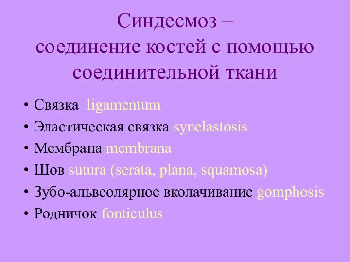 Синдесмоз – соединение костей с помощью соединительной ткани Связка ligamentum Эластическая связка