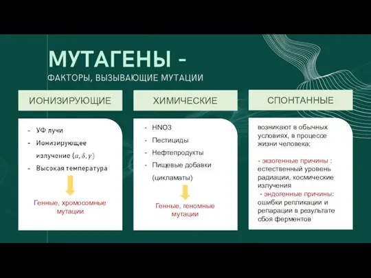 ИОНИЗИРУЮЩИЕ ХИМИЧЕСКИЕ СПОНТАННЫЕ Генные, хромосомные мутации HNO3 Пестициды Нефтепродукты Пищевые добавки(цикламаты) Генные,