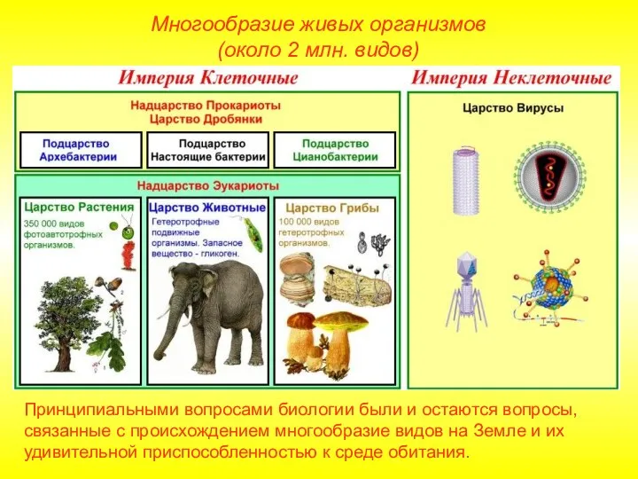 Многообразие живых организмов (около 2 млн. видов) Принципиальными вопросами биологии были и