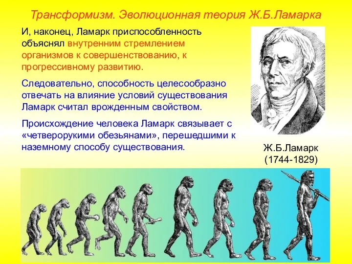 Трансформизм. Эволюционная теория Ж.Б.Ламарка Ж.Б.Ламарк (1744-1829) И, наконец, Ламарк приспособленность объяснял внутренним