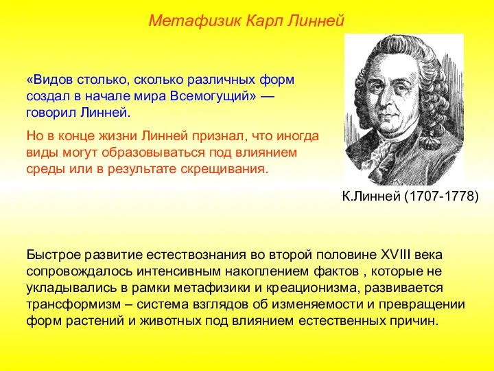 «Видов столько, сколько различных форм создал в начале мира Всемогущий» — говорил