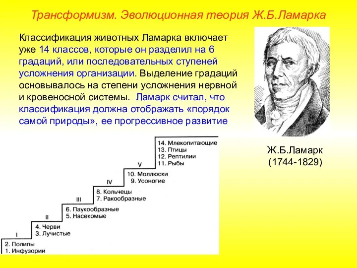 Классификация животных Ламарка включает уже 14 классов, которые он разделил на 6