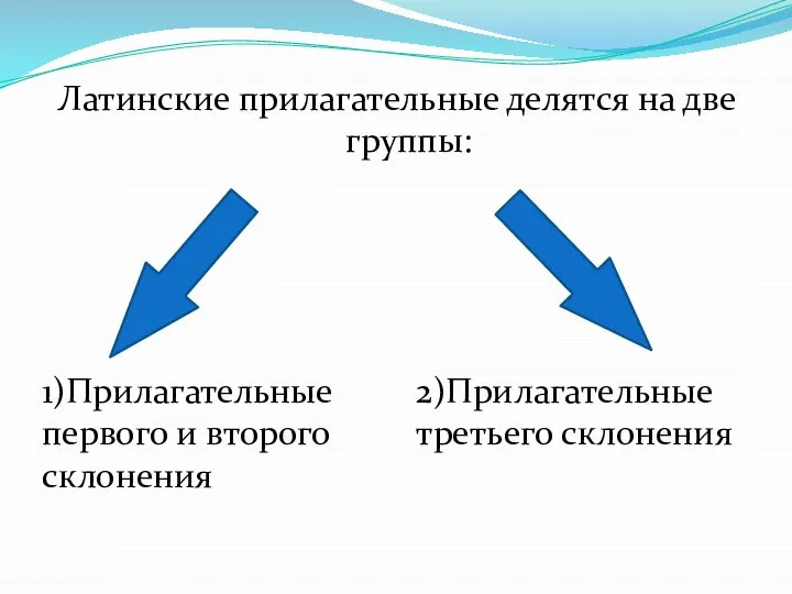 Латинские прилагательные делятся на две группы: 1)Прилагательные первого и второго склонения 2)Прилагательные третьего склонения