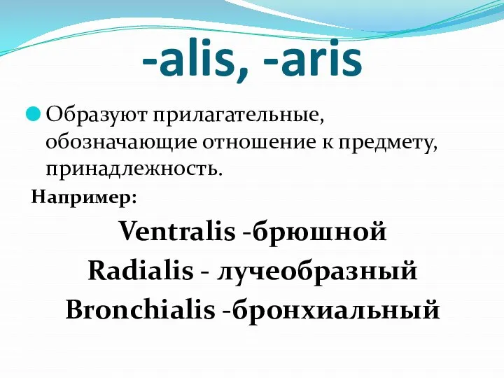 -alis, -aris Образуют прилагательные, обозначающие отношение к предмету, принадлежность. Например: Ventralis -брюшной