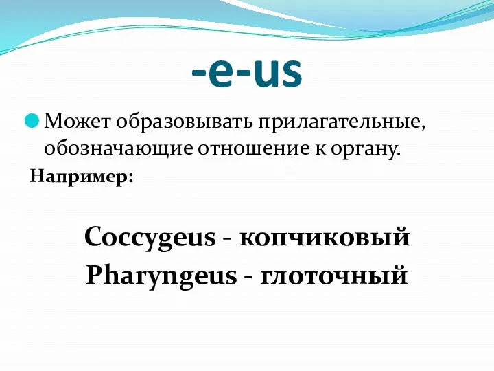 -e-us Может образовывать прилагательные, обозначающие отношение к органу. Например: Coccygeus - копчиковый Pharyngeus - глоточный