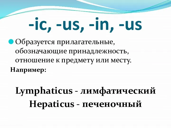 -ic, -us, -in, -us Образуется прилагательные, обозначающие принадлежность, отношение к предмету или