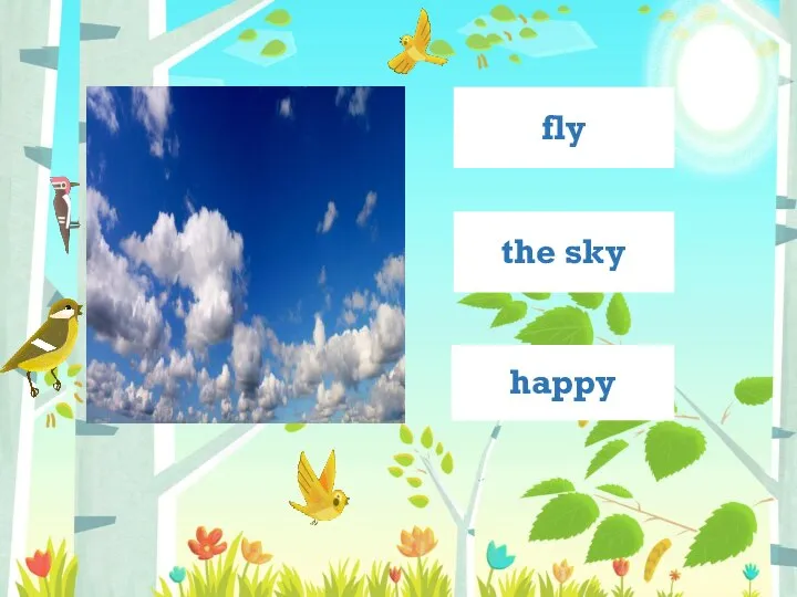 the sky fly happy