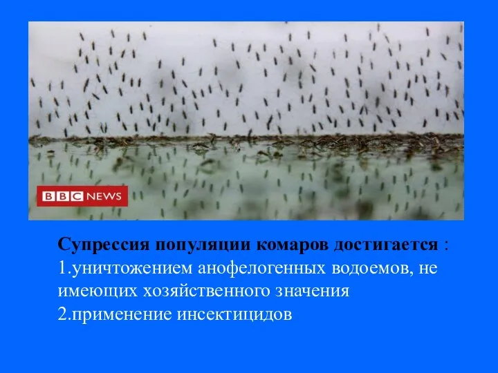 Супрессия популяции комаров достигается : 1.уничтожением анофелогенных водоемов, не имеющих хозяйственного значения 2.применение инсектицидов