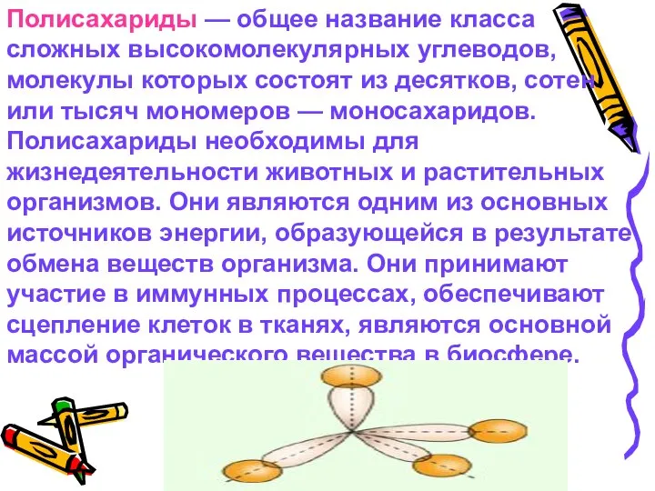 Полисахариды — общее название класса сложных высокомолекулярных углеводов, молекулы которых состоят из