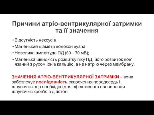 Причини атріо-вентрикулярної затримки та її значення Відсутність нексусів Маленький діаметр волокон вузла