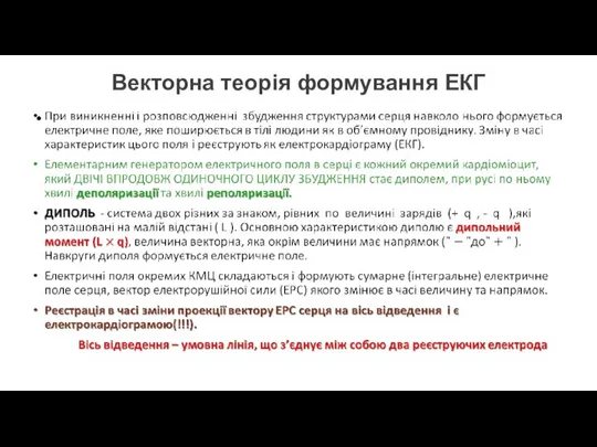 Векторна теорія формування ЕКГ