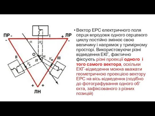 Вектор ЕРС електричного поля серця впродовж одного серцевого циклу постійно змінює свою