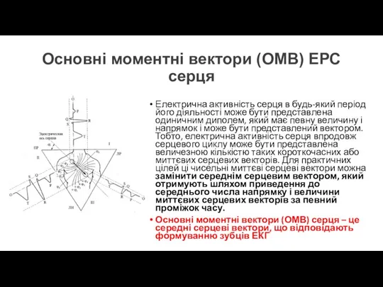 Основні моментні вектори (ОМВ) ЕРС серця Електрична активність серця в будь-який період