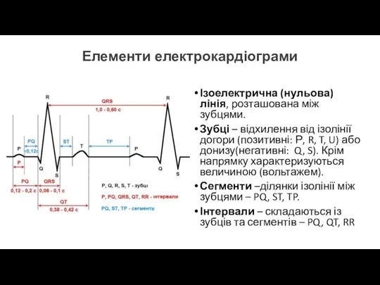 Елементи електрокардіограми Ізоелектрична (нульова) лінія, розташована між зубцями. Зубці – відхилення від