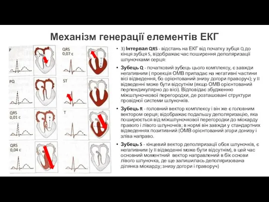 Механізм генерації елементів ЕКГ 3) Інтервал QRS - відстань на ЕКГ від