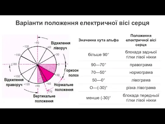 Варіанти положення електричної вісі серця