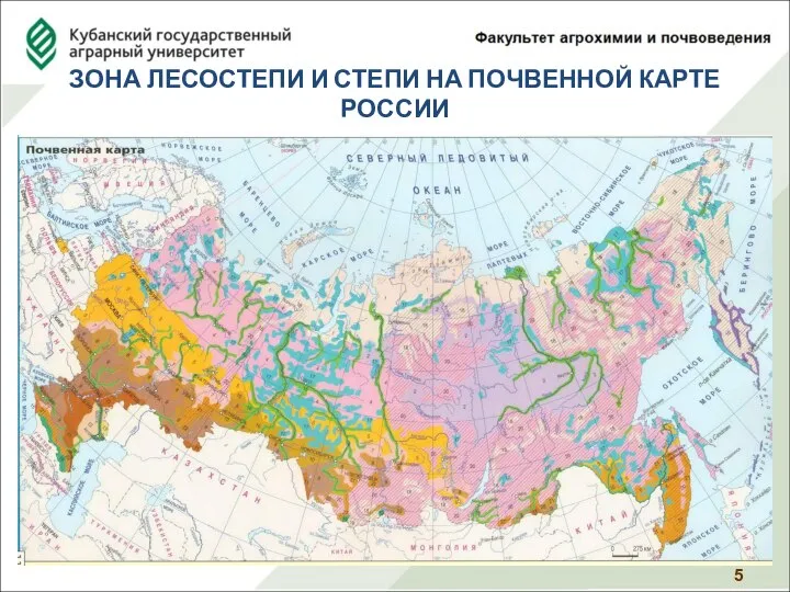 ЗОНА ЛЕСОСТЕПИ И СТЕПИ НА ПОЧВЕННОЙ КАРТЕ РОССИИ 5