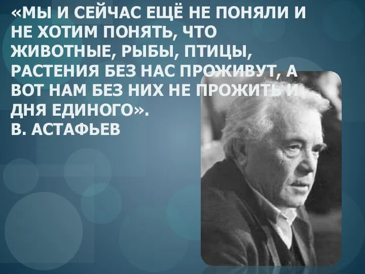 «МЫ И СЕЙЧАС ЕЩЁ НЕ ПОНЯЛИ И НЕ ХОТИМ ПОНЯТЬ, ЧТО ЖИВОТНЫЕ,