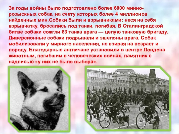 За годы войны было подготовлено более 6000 минно-розыскных собак, на счету которых