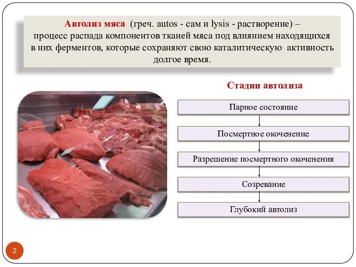 Автолиз мяса (греч. autos - сам и lysis - растворение) – процесс