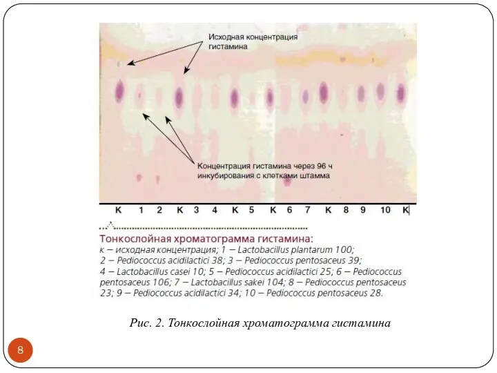 Рис. 2. Тонкослойная хроматограмма гистамина