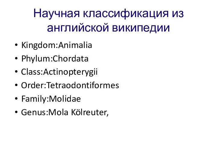 Научная классификация из английской википедии Kingdom:Animalia Phylum:Chordata Class:Actinopterygii Order:Tetraodontiformes Family:Molidae Genus:Mola Kölreuter,
