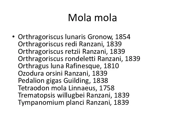 Mola mola Orthragoriscus lunaris Gronow, 1854 Orthragoriscus redi Ranzani, 1839 Orthragoriscus retzii