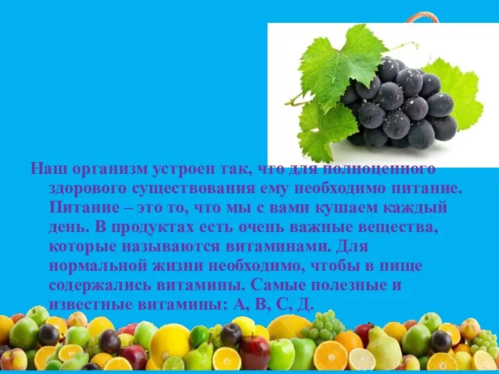 Наш организм устроен так, что для полноценного здорового существования ему необходимо питание.