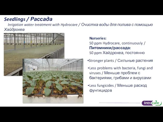 Seedlings / Рассада Irrigation water treatment with Hydrocare / Очистка воды для