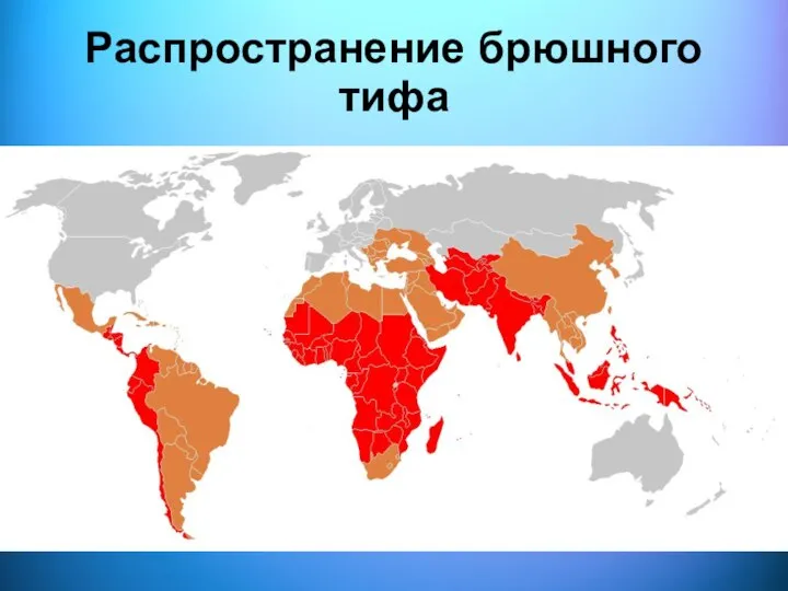 Распространение брюшного тифа