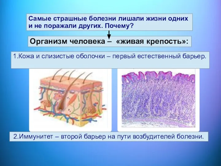 Самые страшные болезни лишали жизни одних и не поражали других. Почему? Организм