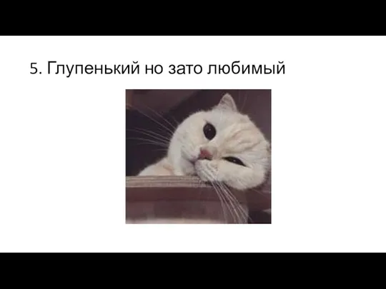 5. Глупенький но зато любимый