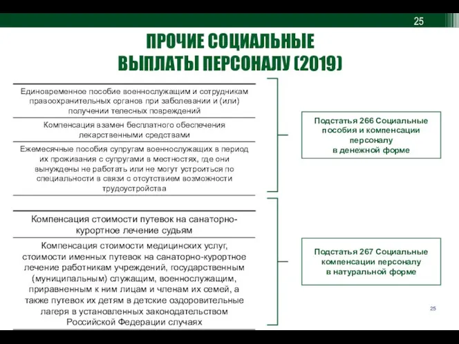 ПРОЧИЕ СОЦИАЛЬНЫЕ ВЫПЛАТЫ ПЕРСОНАЛУ (2019) Подстатья 266 Социальные пособия и компенсации персоналу