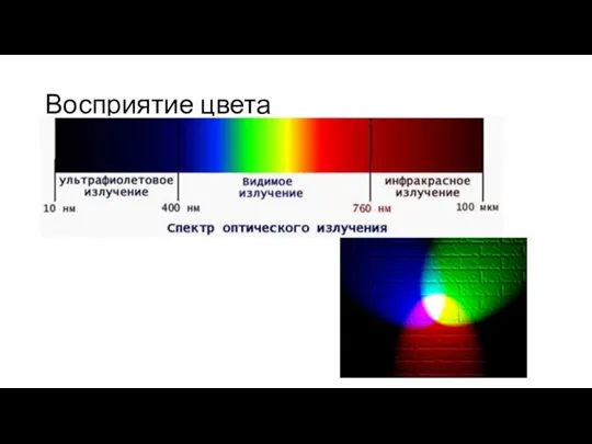 Восприятие цвета