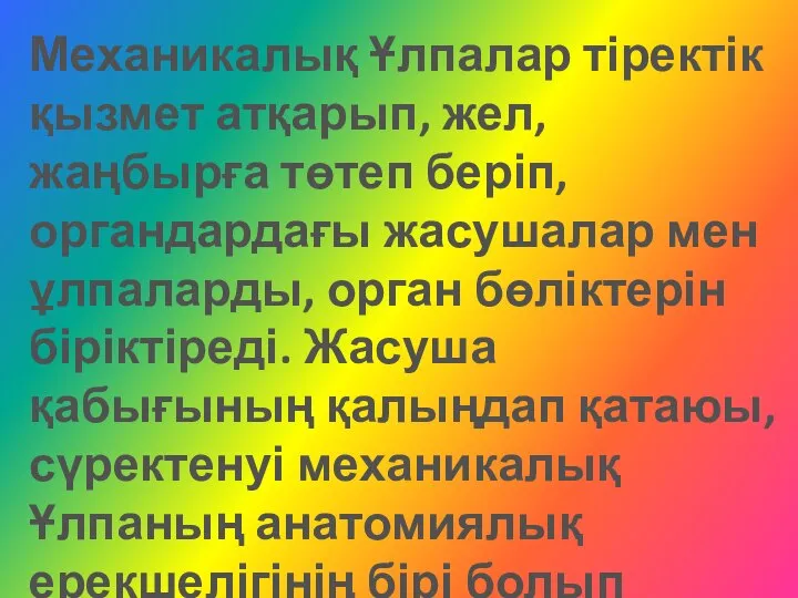 Механикалық Ұлпалар тіректік қызмет атқарып, жел, жаңбырға төтеп беріп, органдардағы жасушалар мен