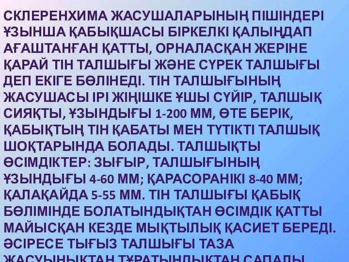 СКЛЕРЕНХИМА ЖАСУШАЛАРЫНЫҢ ПІШІНДЕРІ ҰЗЫНША ҚАБЫҚШАСЫ БІРКЕЛКІ ҚАЛЫҢДАП АҒАШТАНҒАН ҚАТТЫ, ОРНАЛАСҚАН ЖЕРІНЕ ҚАРАЙ