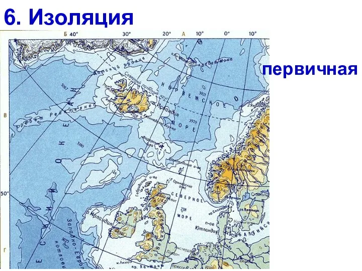 6. Изоляция первичная