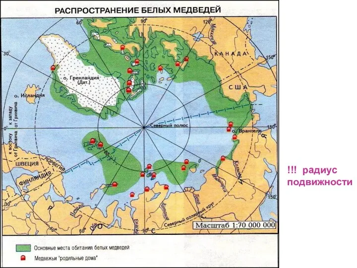 !!! радиус подвижности !!! радиус подвижности