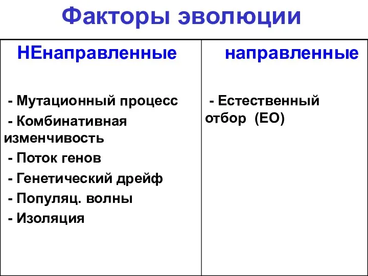 Факторы эволюции