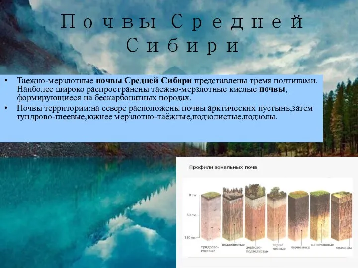 Почвы Средней Сибири Таежно-мерзлотные почвы Средней Сибири представлены тремя подтипами. Наиболее широко