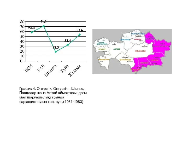 График 4. Оңтүстік, Оңтүстік – Шығыс, Павлодар және Алтай аймақтарындағы мал шаруашылықтарында саркоцистоздың таралуы,(1981-1983)