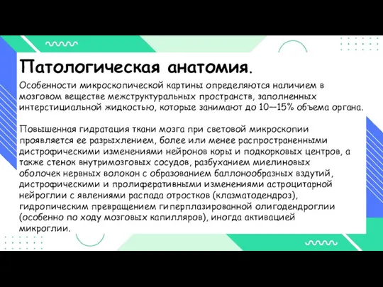 Патологическая анатомия. Особенности микроскопической картины определяются наличием в мозговом веществе межструктуральных пространств,