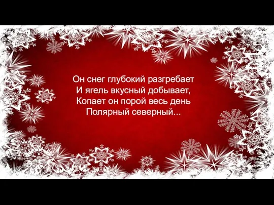 Он снег глубокий разгребает И ягель вкусный добывает, Копает он порой весь день Полярный северный...