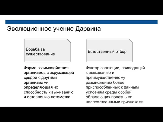 Эволюционное учение Дарвина Борьба за существование Естественный отбор Форма взаимодействия организмов с