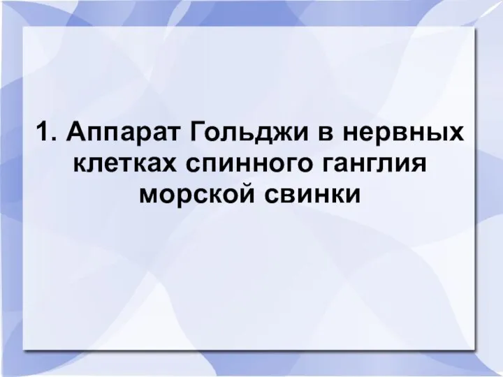 1. Аппарат Гольджи в нервных клетках спинного ганглия морской свинки